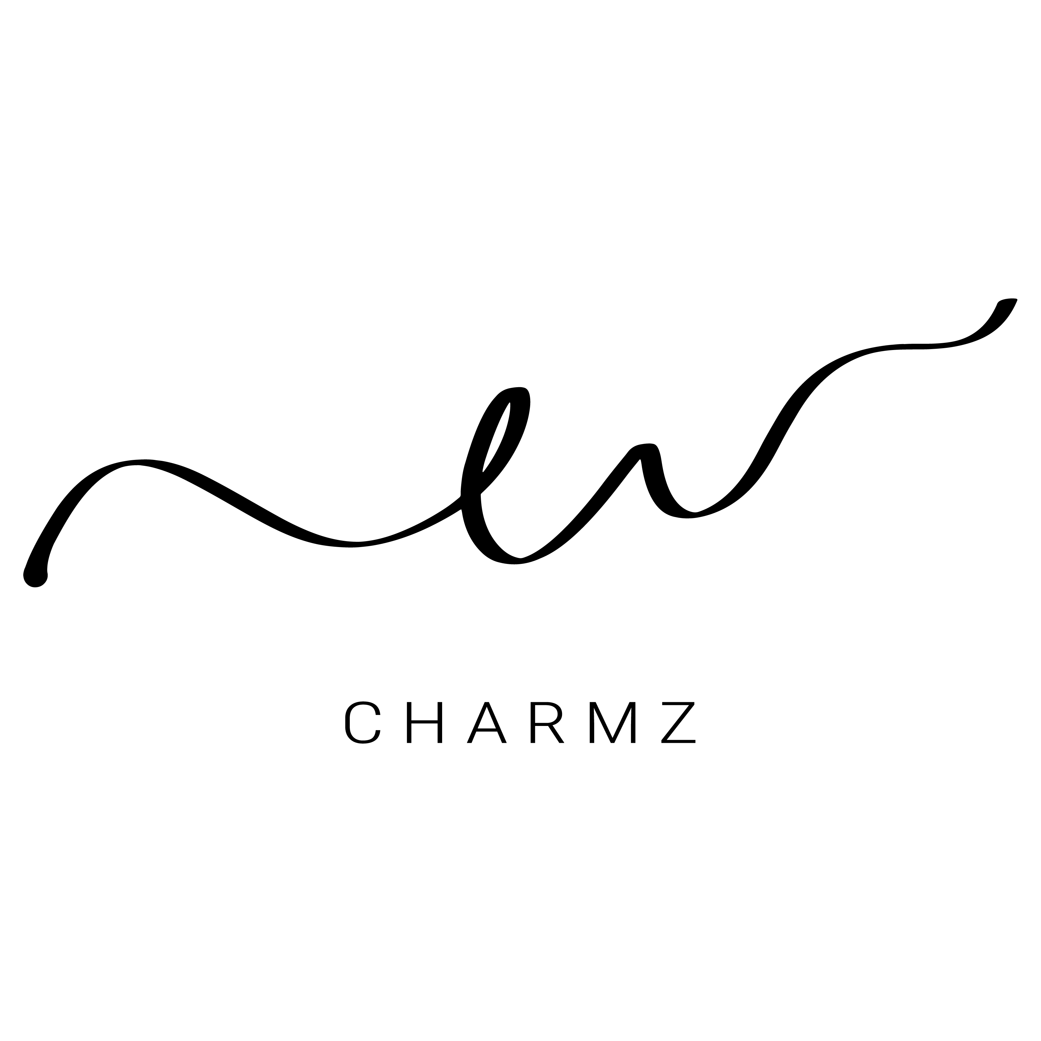 CharmZ | TikTok For Business