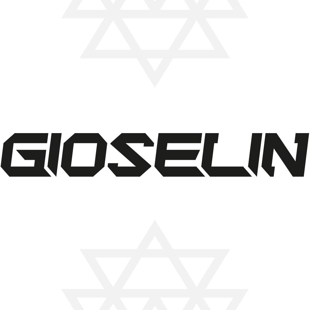 Gioselin Logo tiktok succes stories