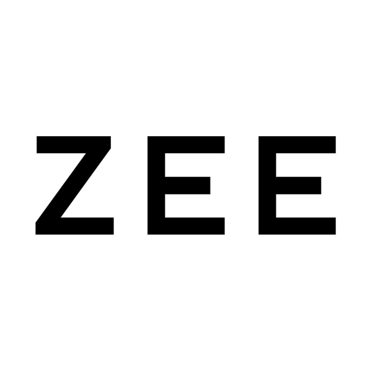 zeestore-logo
